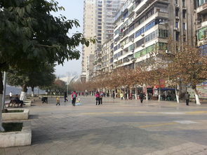 从“滨河游园”看通川区城乡市容管理新篇章