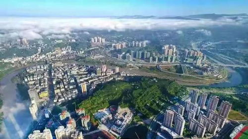 落实全会精神 提升人居品质——城区老旧小区改造与城乡市容管理双轮驱动